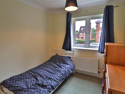 Picture 13